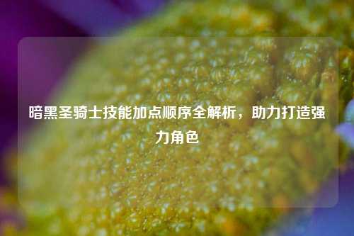 暗黑圣骑士技能加点顺序全解析,助力打造强力角色
