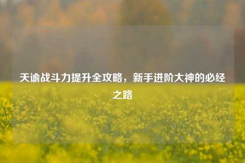 天谕战斗力提升全攻略,新手进阶大神的必经之路