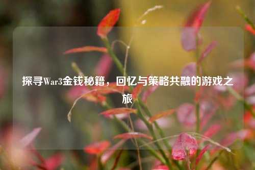 探寻War3金钱秘籍,回忆与策略共融的游戏之旅