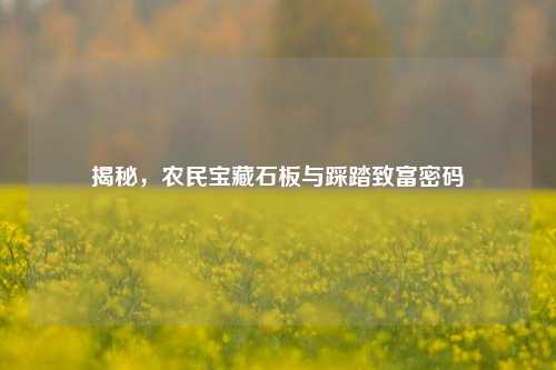 揭秘,农民宝藏石板与踩踏致富密码