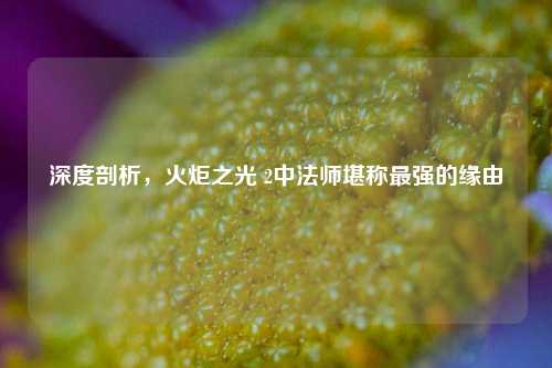 深度剖析，火炬之光 2中法师堪称最强的缘由