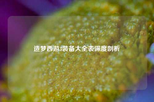 造梦西游3装备大全表深度剖析