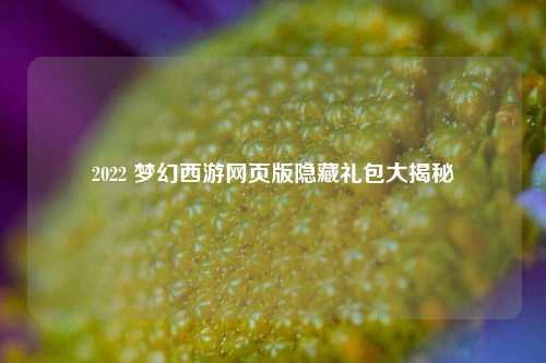 2022 梦幻西游网页版隐藏礼包大揭秘