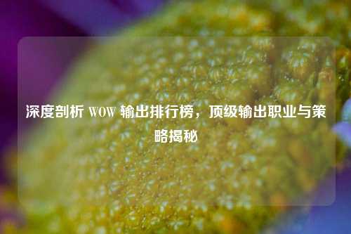 深度剖析 WOW 输出排行榜，顶级输出职业与策略揭秘