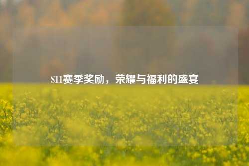 S11赛季奖励,荣耀与福利的盛宴
