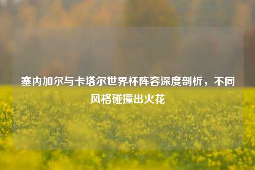 塞内加尔与卡塔尔世界杯阵容深度剖析，不同风格碰撞出火花