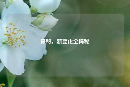 探秘，新变化全揭秘