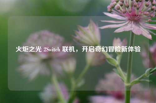 火炬之光 2Switch 联机,开启奇幻冒险新体验