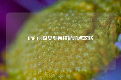 DNF 100级女剑帝技能加点攻略
