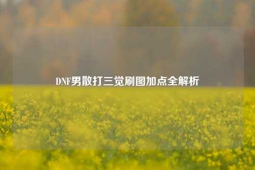 DNF男散打三觉刷图加点全解析