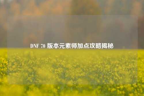 DNF 70 版本元素师加点攻略揭秘