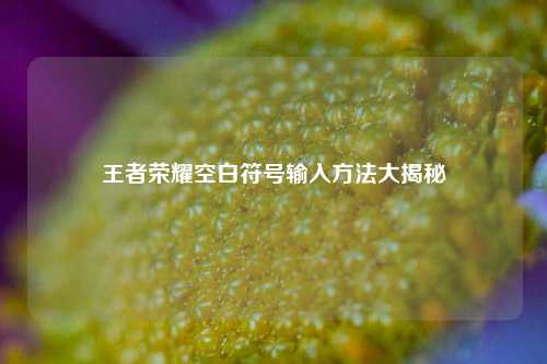 王者荣耀空白符号输入方法大揭秘