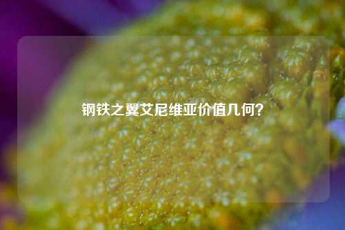 钢铁之翼艾尼维亚价值几何？