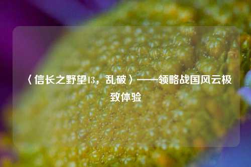 〈信长之野望13，乱破〉——领略战国风云极致体验