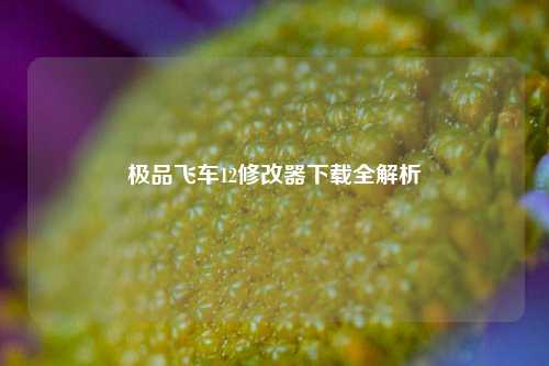 极品飞车12修改器下载全解析