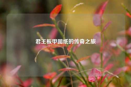 君王板甲图纸的传奇之旅