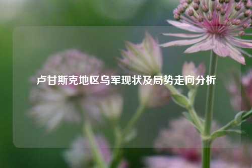 卢甘斯克地区乌军现状及局势走向分析