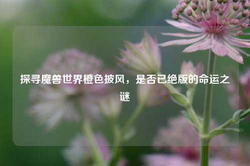 探寻魔兽世界橙色披风，是否已绝版的命运之谜