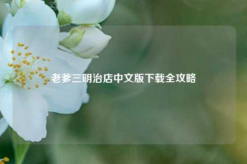 老爹三明治店中文版下载全攻略