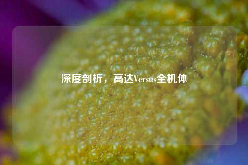 深度剖析，高达Versus全机体