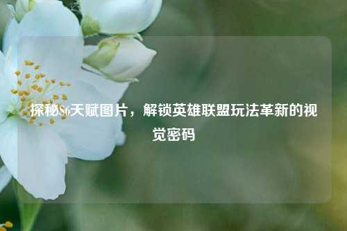 探秘S6天赋图片，解锁英雄联盟玩法革新的视觉密码