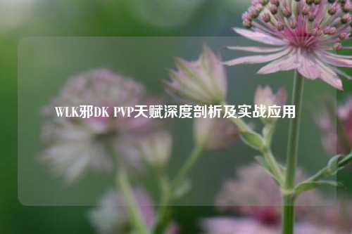 WLK邪DK PVP天赋深度剖析及实战应用