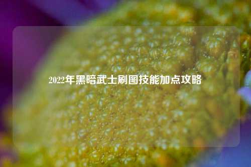 2022年黑暗武士刷图技能加点攻略