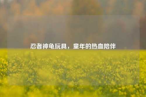 忍者神龟玩具，童年的热血陪伴