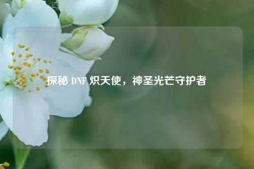 探秘 DNF 炽天使，神圣光芒守护者