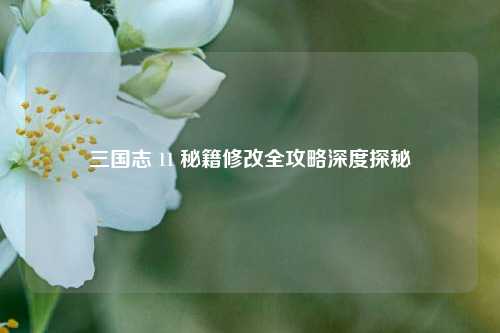 三国志 11 秘籍修改全攻略深度探秘