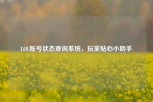LOL账号状态查询系统，玩家贴心小助手