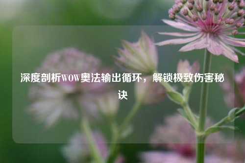深度剖析WOW奥法输出循环，解锁极致伤害秘诀