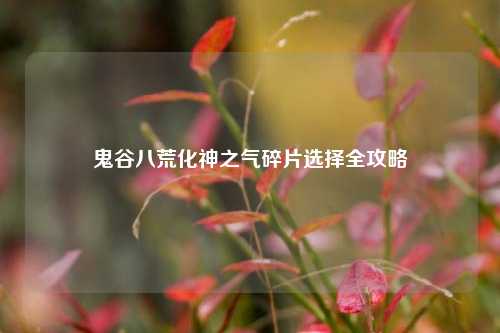 鬼谷八荒化神之气碎片选择全攻略