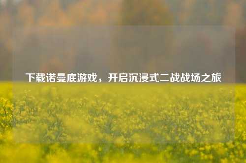 下载诺曼底游戏，开启沉浸式二战战场之旅