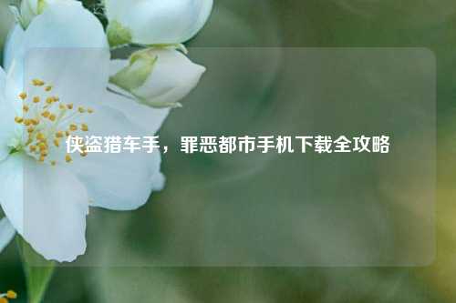 侠盗猎车手，罪恶都市手机下载全攻略