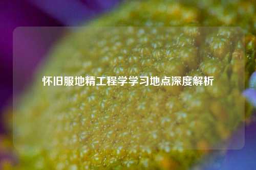 怀旧服地精工程学学习地点深度解析
