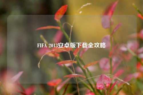 FIFA 2013安卓版下载全攻略