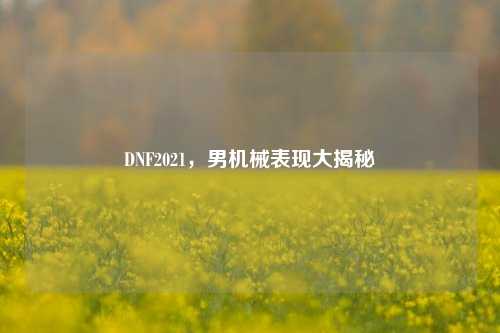 DNF2021，男机械表现大揭秘