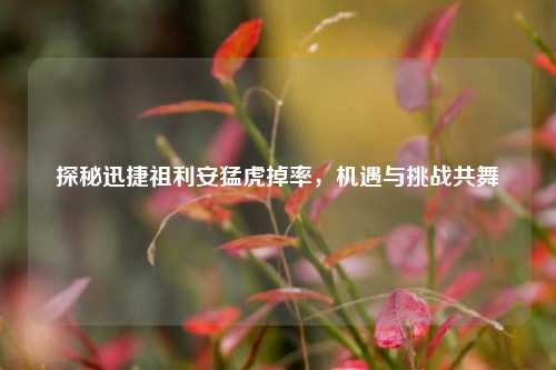 探秘迅捷祖利安猛虎掉率，机遇与挑战共舞