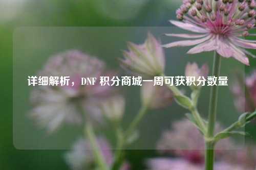 详细解析，DNF 积分商城一周可获积分数量