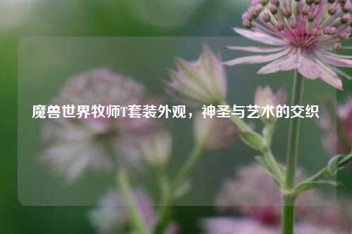 魔兽世界牧师T套装外观，神圣与艺术的交织