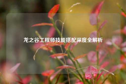 龙之谷工程师技能搭配深度全解析